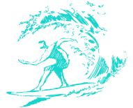 Pro Level Surfing