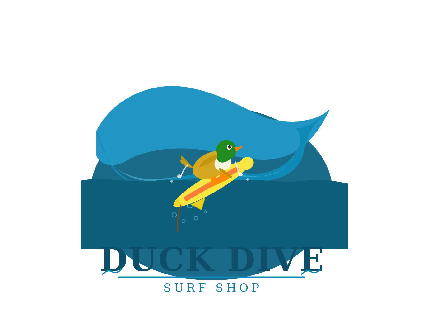 Duck Dives